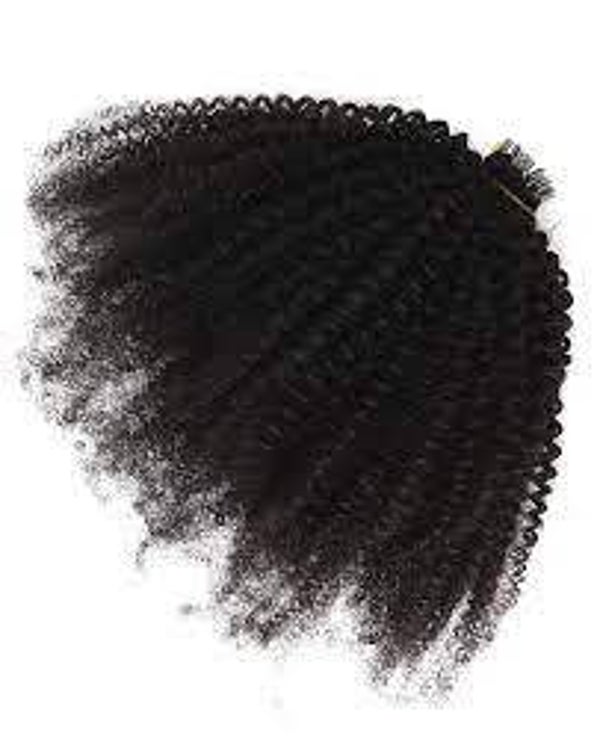 Burmese Kinky Curly Tape Ins