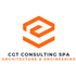 CGT Consulting SpA