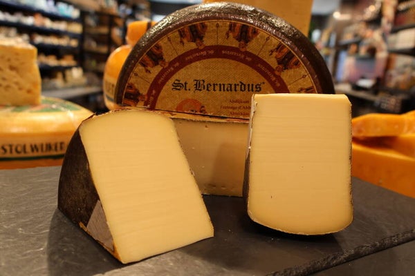 abdijkaas saint bernardus