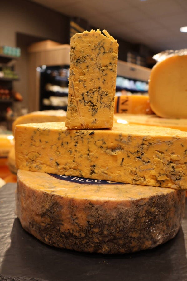 shropshire blue