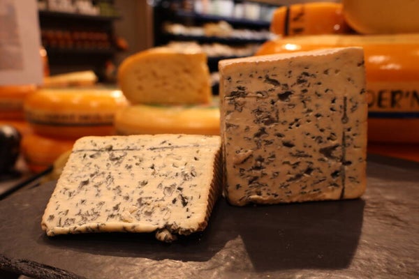 bleu d´auvergne