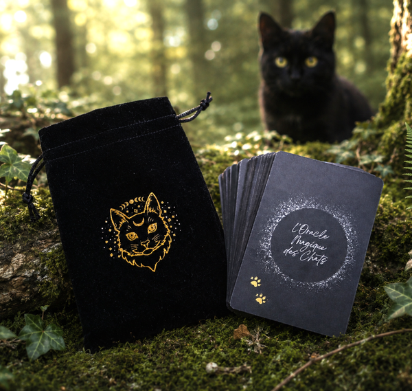 L'Oracle Magique des Chats
