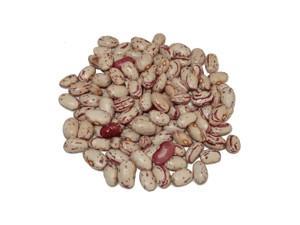 Alubia Pinta
