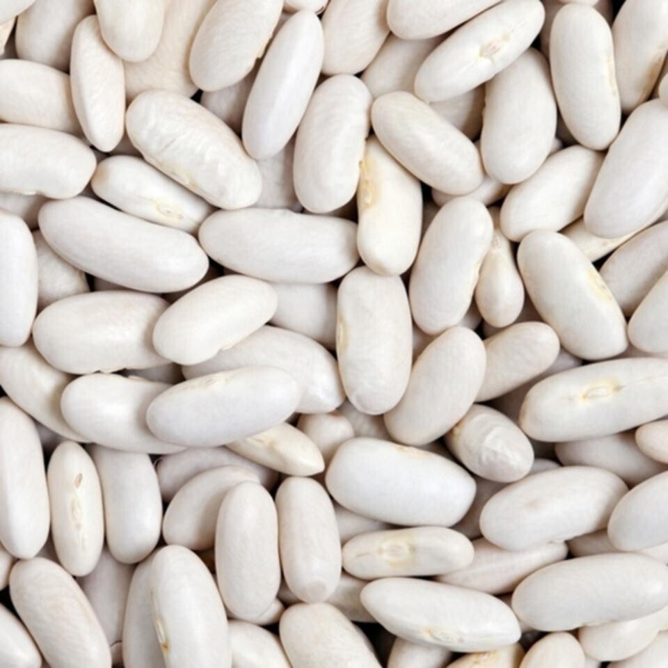 Alubia Blanca Riñon