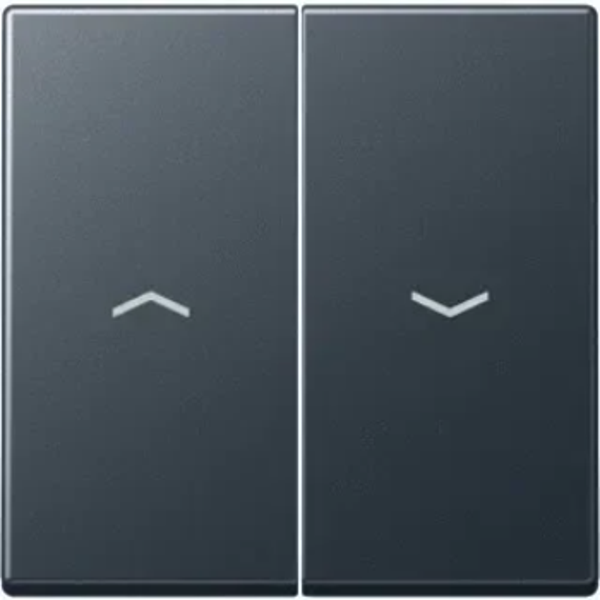 Jung schakelwip jaloezie met pijlsymbolen - A550 mat antraciet