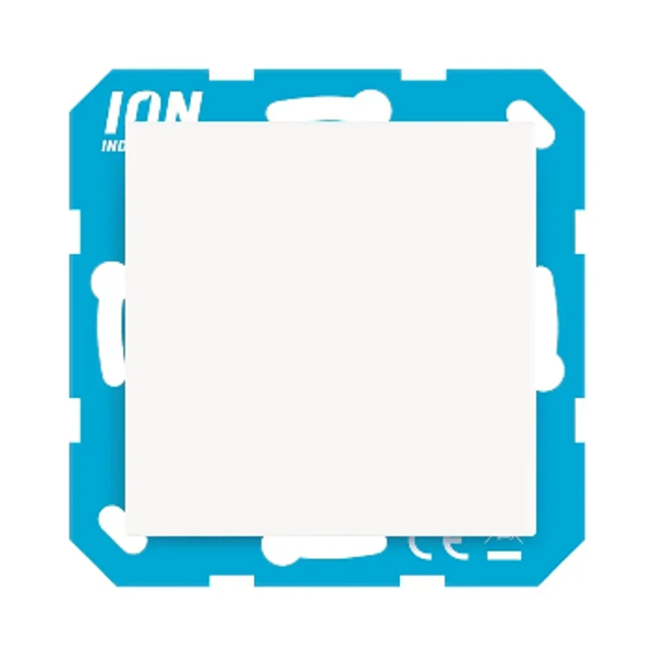 Ion blindplaat - V1/J1 alpin wit