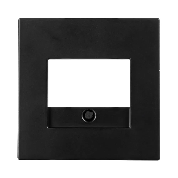 Ion afdekplaat USB/TAE 2V - V1/J1 mat zwart