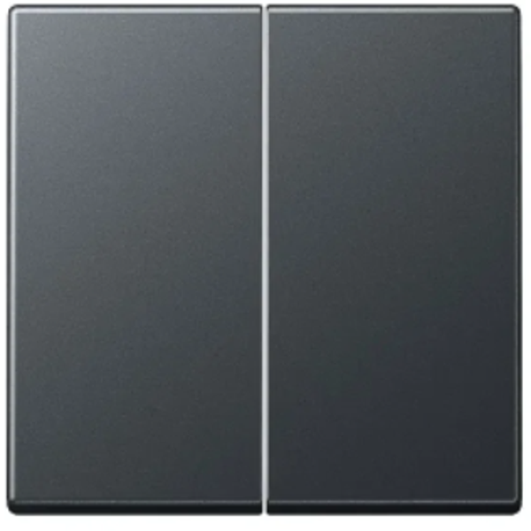 Jung schakelwip dubbel - A550 mat antraciet