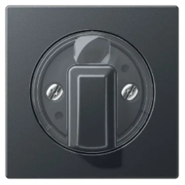 Jung afdekplaat draaischakelaar - A550 mat antraciet