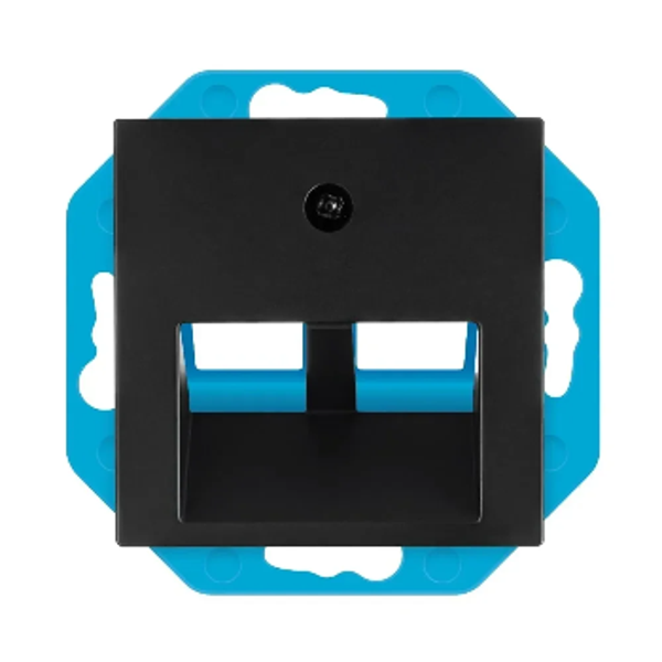 Ion modular jack 30° 2V + centraaplaat - V1/J1 mat zwart