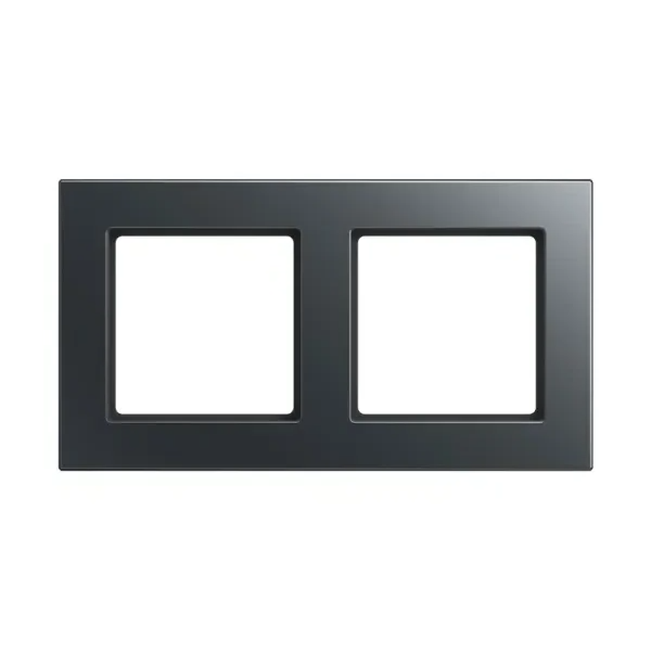 Jung afdekraam 2V - A550 mat antraciet