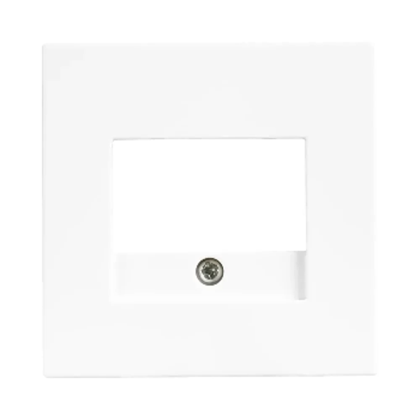 Ion afdekplaat USB/TAE 2V - V1/J1 alpin wit