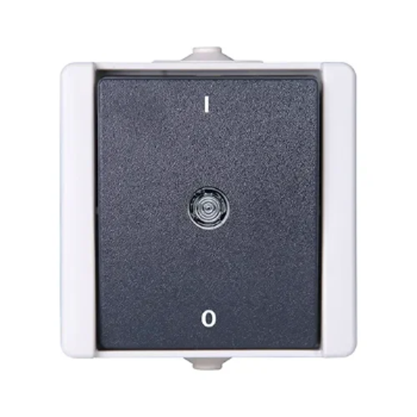 Kopp spatwaterdicht 2-polig schakelaar met controle lamp - ProAQA grijs