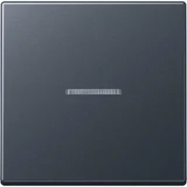 Jung schakelwip met controle lens - A550 mat antraciet