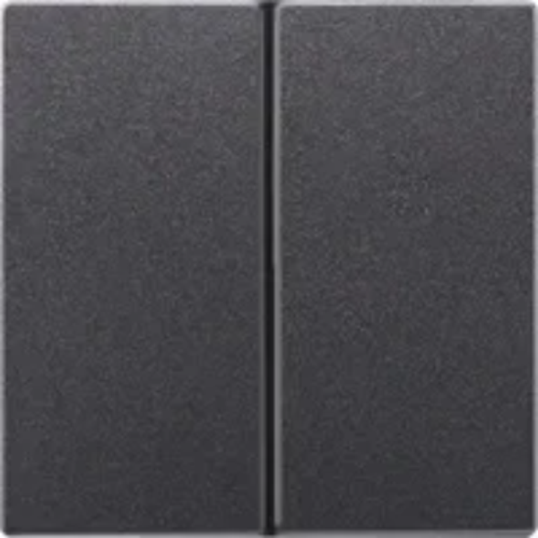 Jung schakelwip dubbel - LS990 antraciet