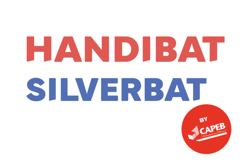 303_handibat-silverbat-standard-bjjzqr.png