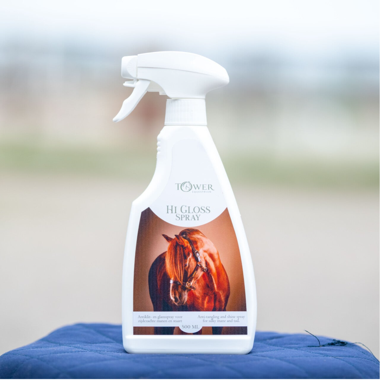 Hi Gloss Spray