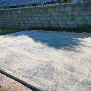 1746608846369-standard.jpg