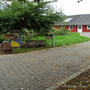 1746608846393-standard.jpg