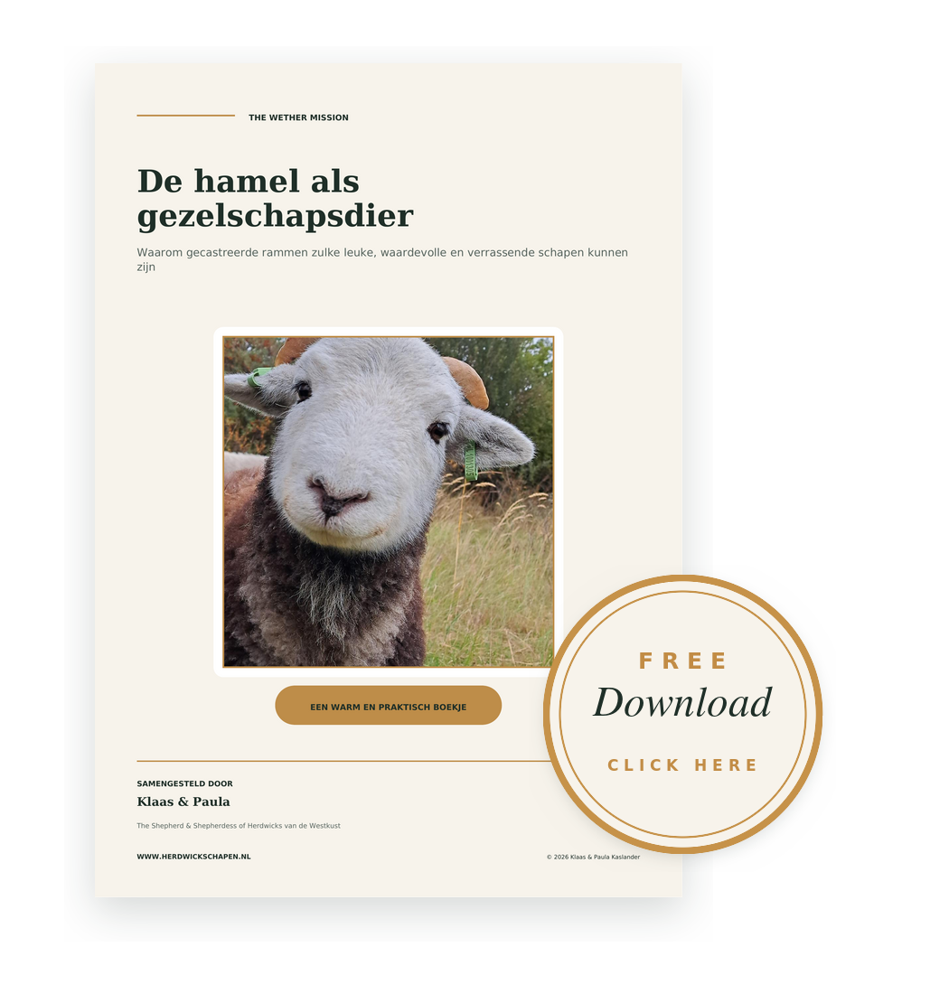 Herdwick vacht en pegloom kleden