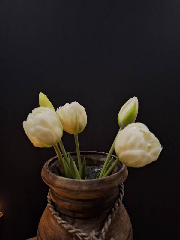 Tulpen wit/creme bosje van 5