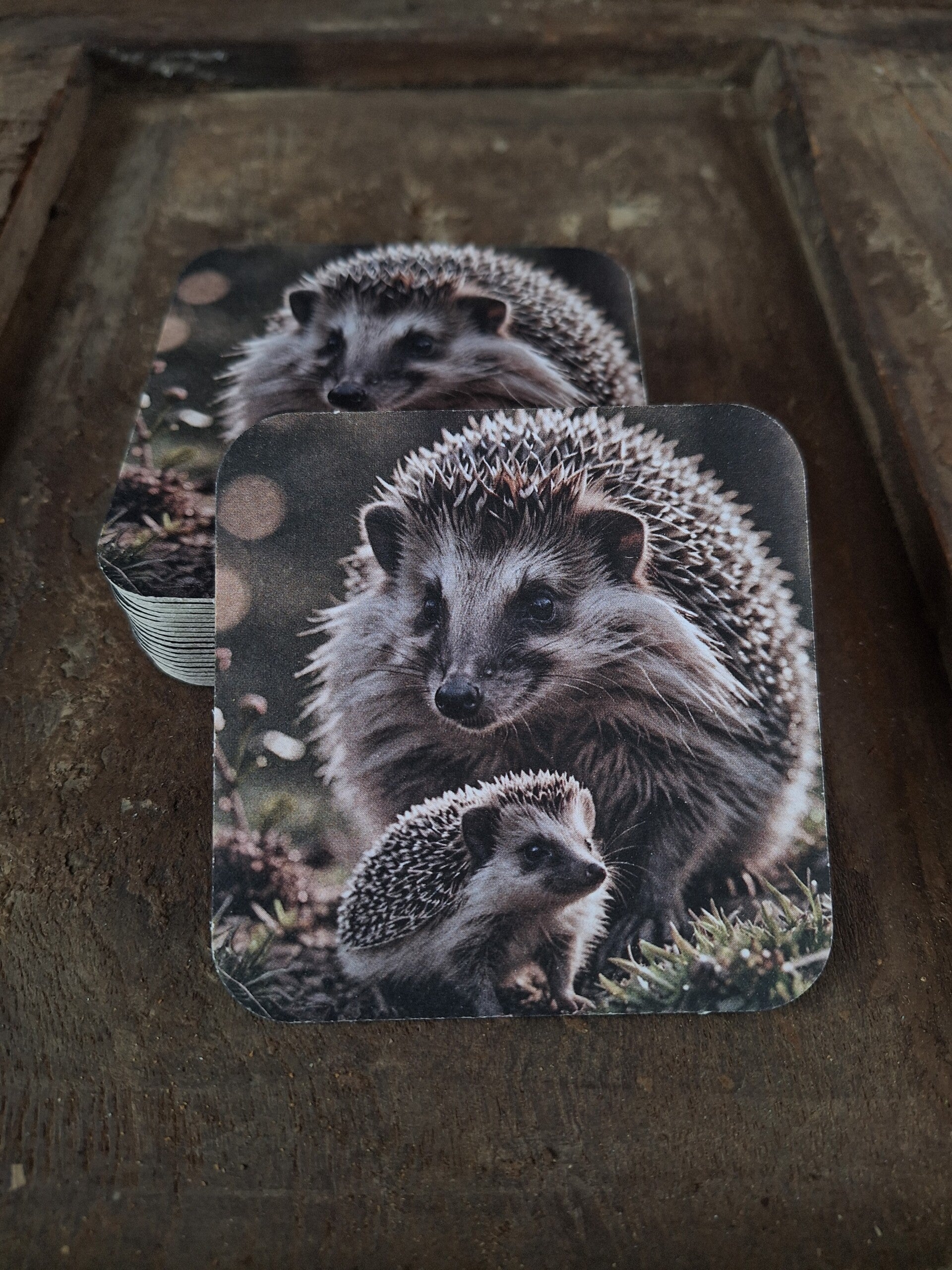 Viltjes onderzetters egeltjes 20 stuks