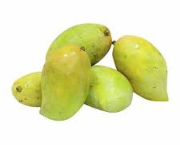Seddieqa Mango مانجو صديقة