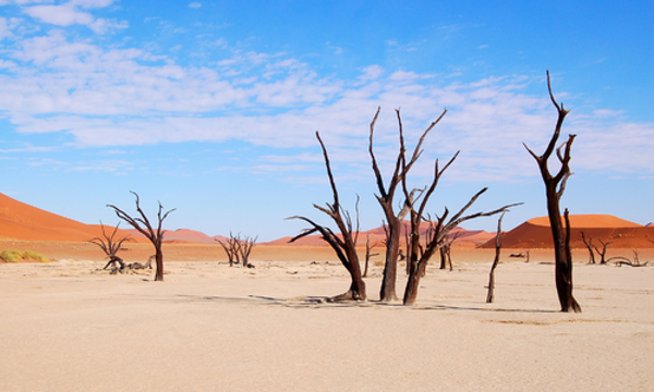 5 Nächte Wüstenabenteuer Sossusvlei & Kalahari