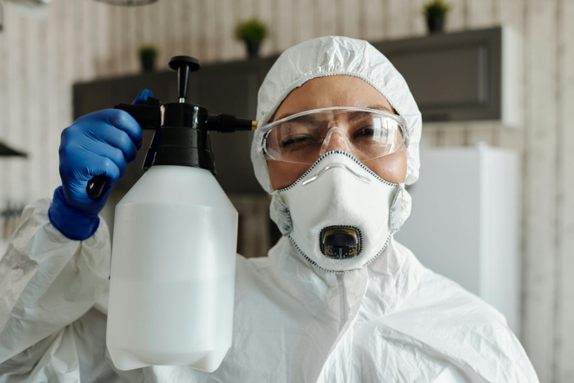 décontamination moisissure