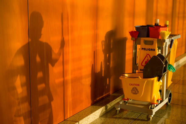 istockphoto-157618785-612x612-standard-xsjmvw.jpg