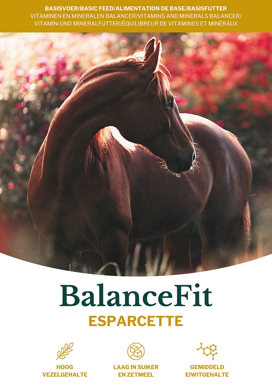 Metazoa Balancefit Esparcette