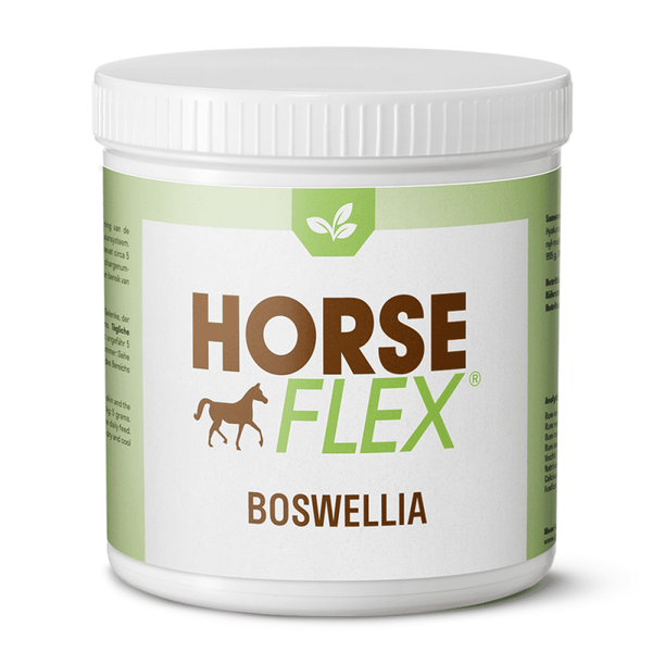 Boswellia