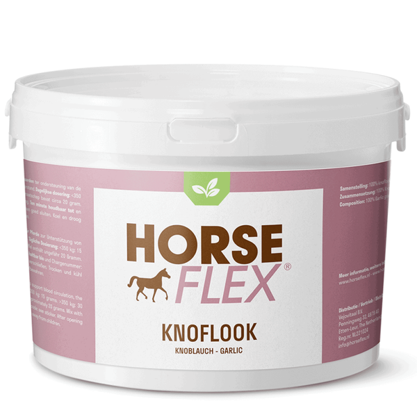 Knoflook 1kg
