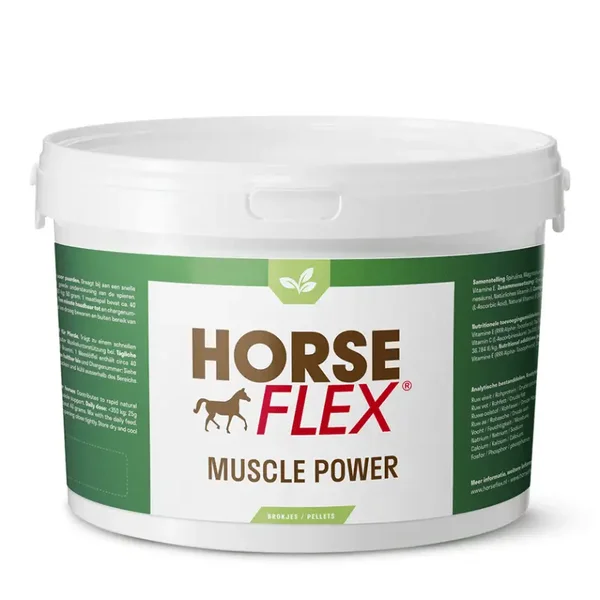 Muscle Power
