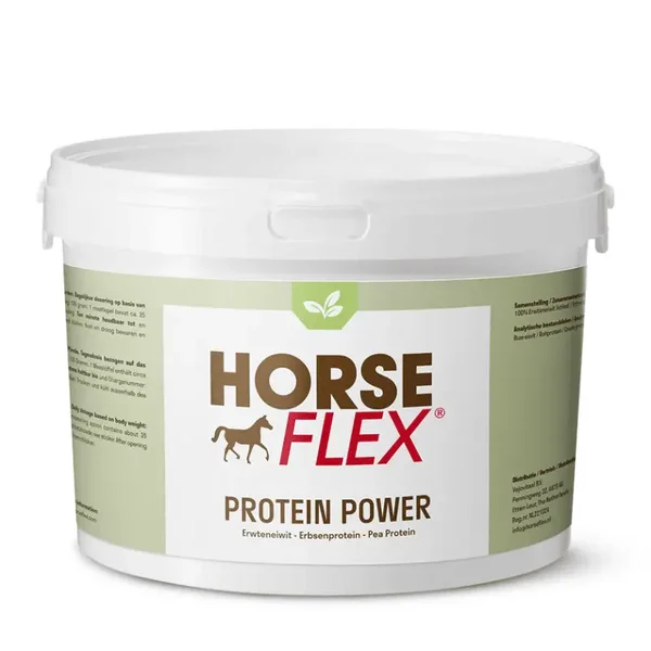 Protein Power