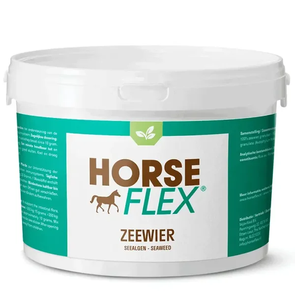 Zeewier