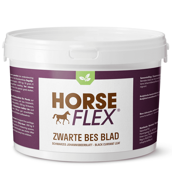 Zwarte Bes Blad 540g