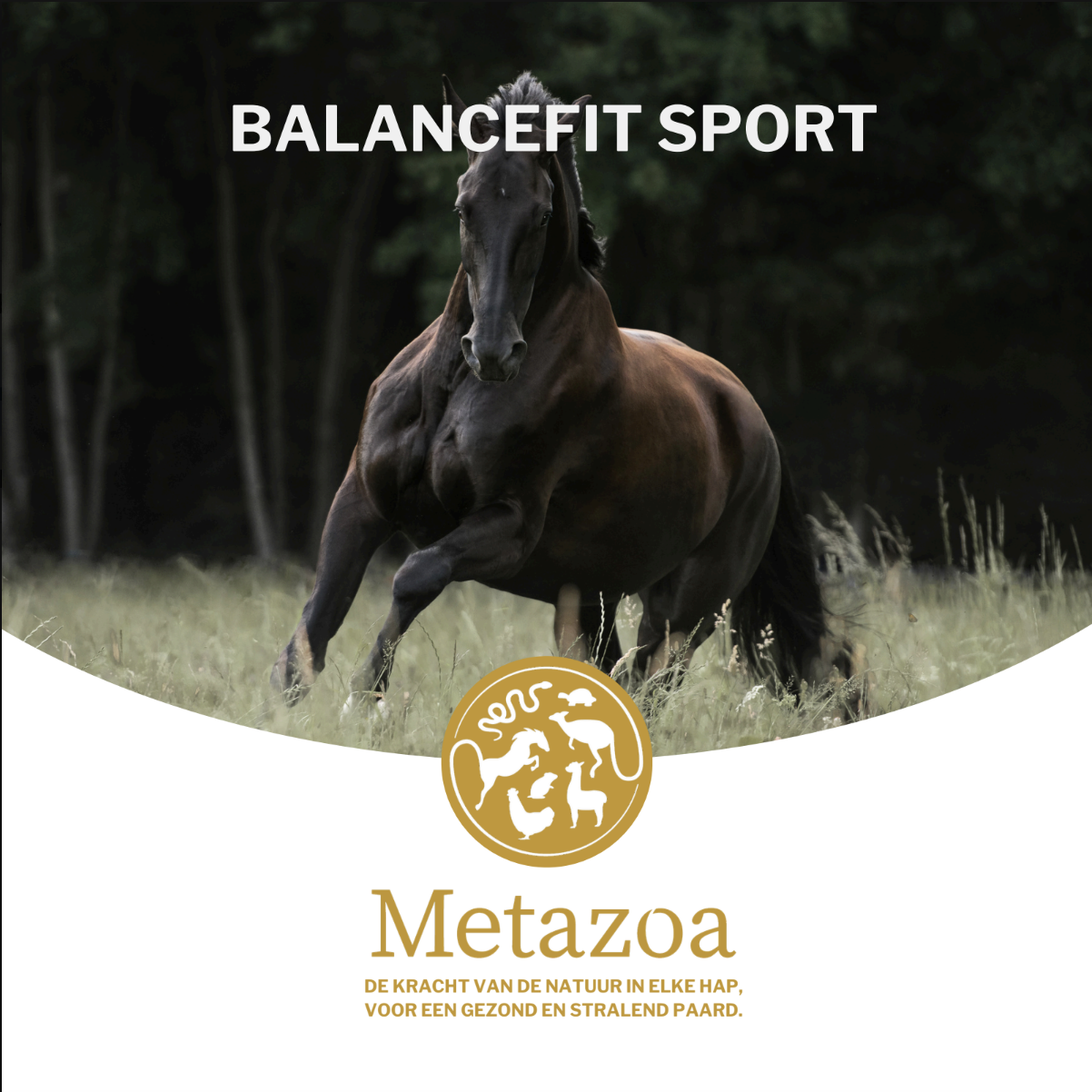 NIEUW!! Balancefit Sport 500kg