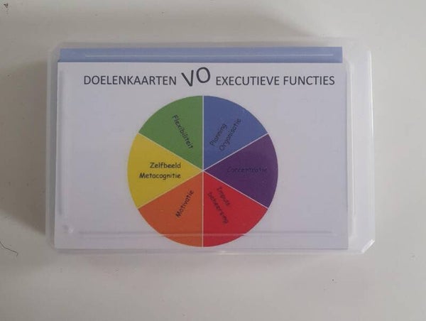 Doelen kaartjes executieve functies VO; Wegwijsacademie