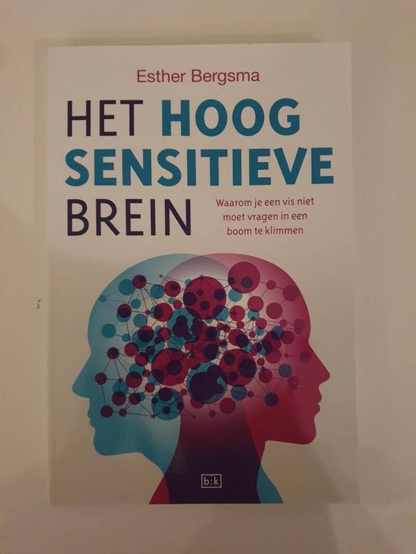 Het hoogsensitive brein; Esther Bergsma