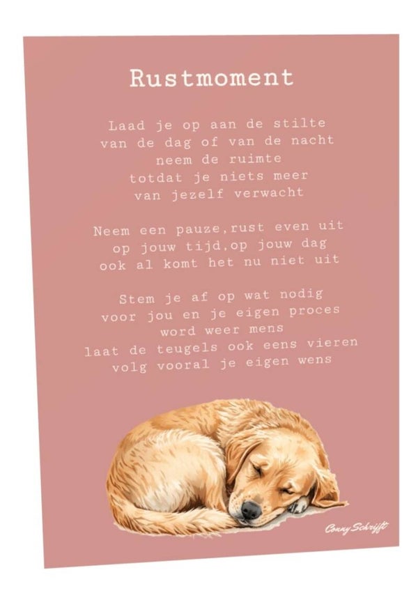 Dubbele kaart A6 Rustmoment