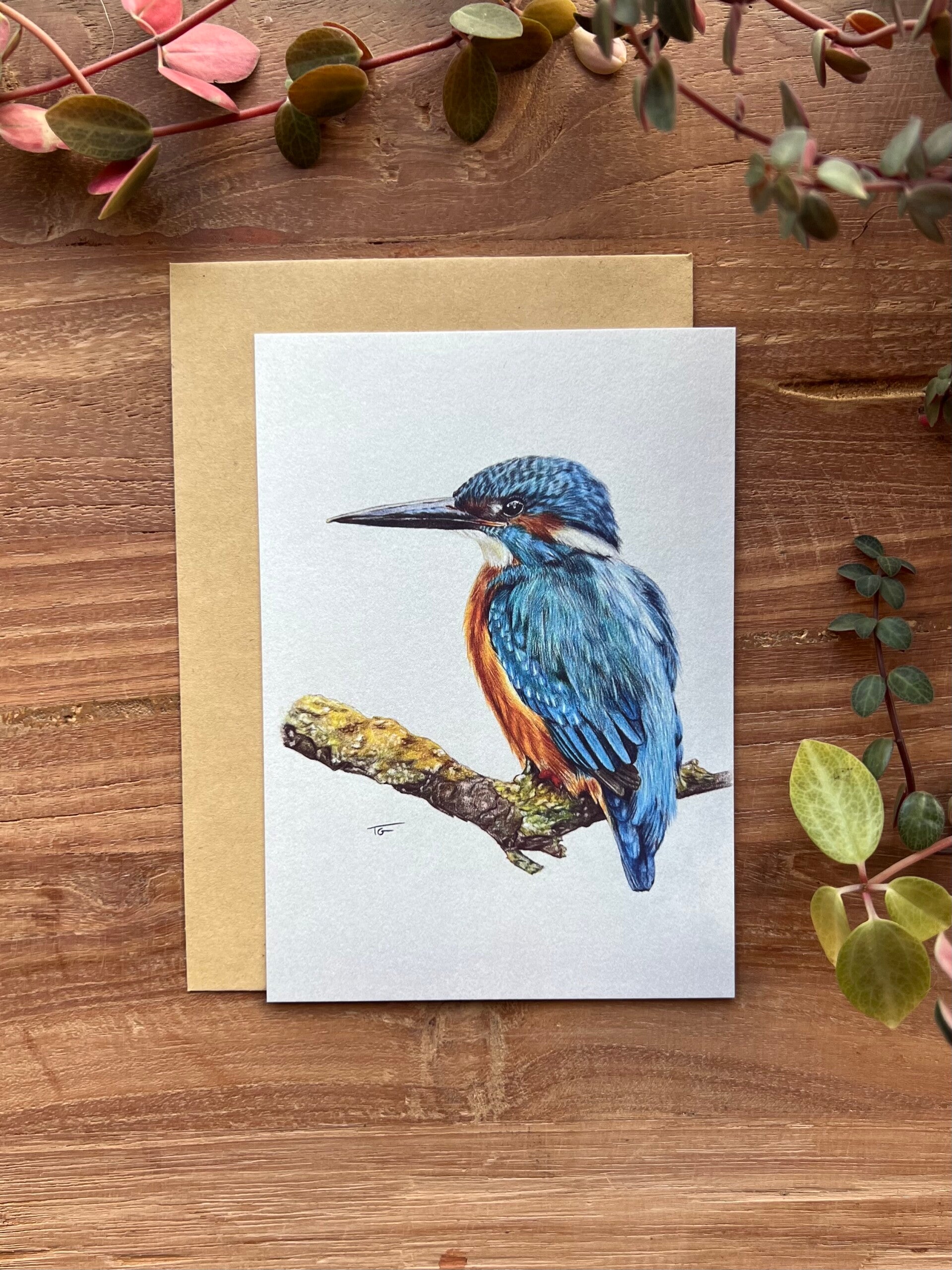 Wenskaartje | Ijsvogel