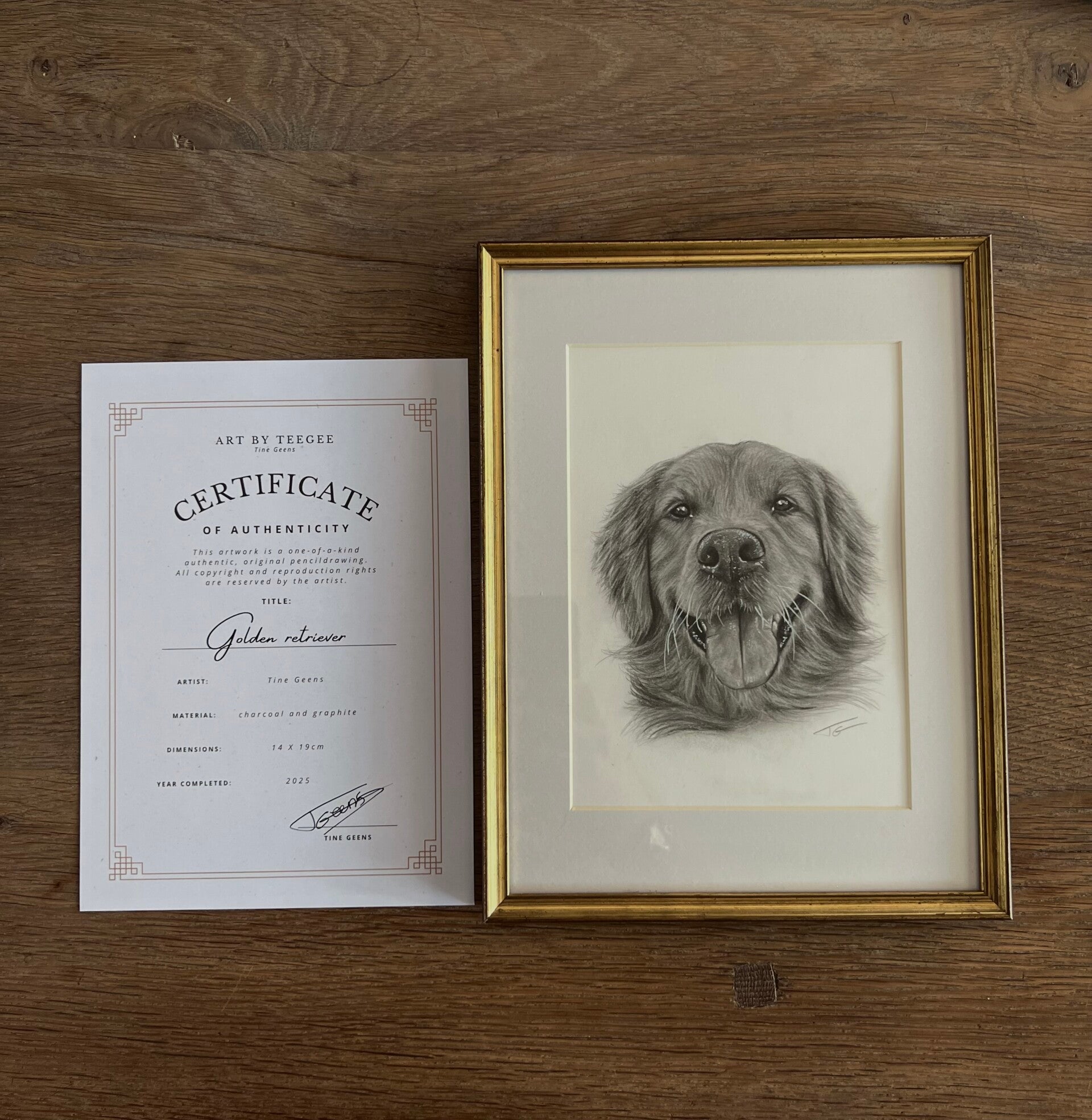 Golden Retriever – Houtskool en grafiet tekening