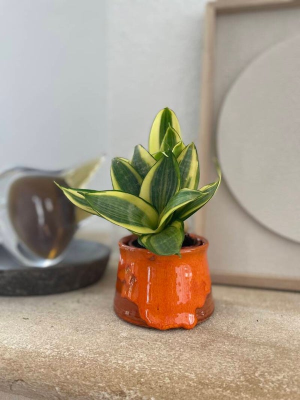 Vintage oranje aardewerk bloempotje/schaaltje fat lava