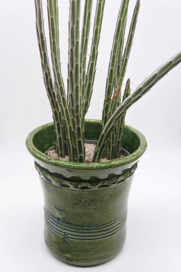 Vintage wand pot flesgroen