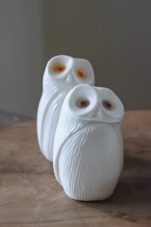 Vintage peper en zout stelletje uiltjes