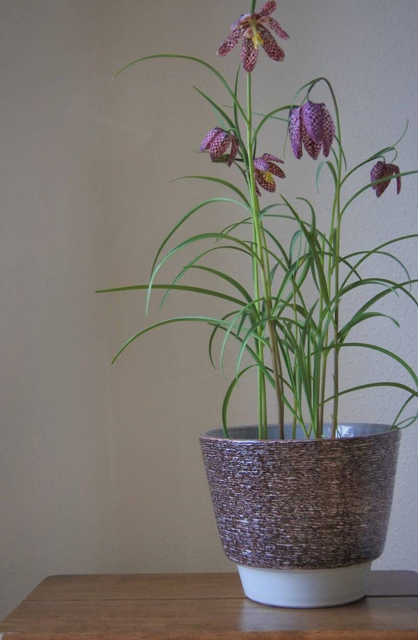 Vintage ADCO bloempot