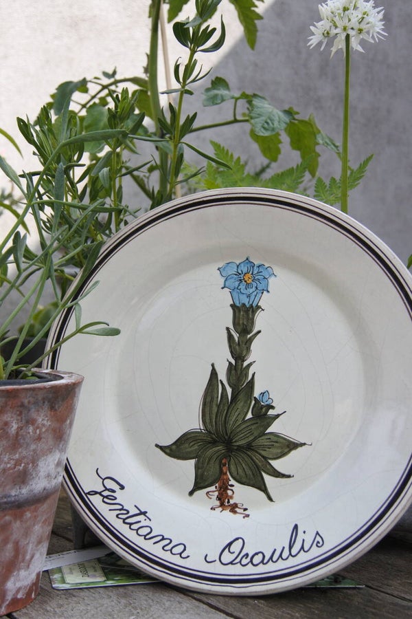 Vintage decoratief wandbord Gentiana Ocaulis