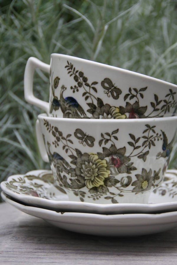 Vintage Staffordshire England Windsor kop en schotel set