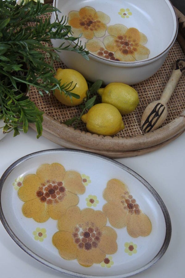 Vintage Denby England schalen set